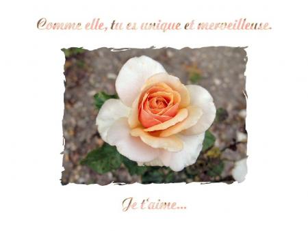 je t aime